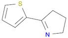 5-(2-THIENYL)-3,4-DIHYDRO-2H-PYRROLE