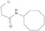 3-chloro-N-cyclooctylpropanamide