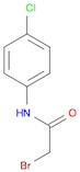 2-BROMO-N-(4-CHLOROPHENYL)ACETAMIDE