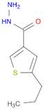 3-Thiophenecarboxylicacid,5-propyl-,hydrazide(9CI)