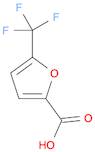 5-(TRIFLUOROMETHYL)-2-FUROIC ACID, 97