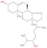 24(S)-HYDROXYCHOLESTEROL