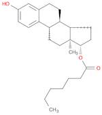 Oestradiol 17-heptanoate