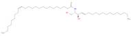 NERVONIC CERAMIDE