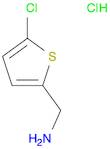 (5-chlorothiophen-2-yl)methanamine hydrochloride