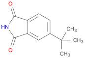 5-tert-butylisoindoline-1,3-dione