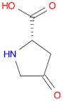 4-oxo-L-proline