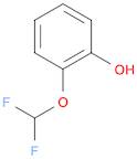 2-(DIFLUOROMETHOXY)PHENOL 98