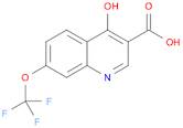 4-Hydroxy-7-trifluoromethoxyquinoline-3-carboxylic acid