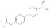 {4-[4-(TrifluoroMethoxy)phenyl]phenyl}boronic acid