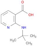 3-Pyridinecarboxylicacid,2-[(1,1-dimethylethyl)amino]-(9CI)