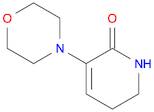 3-Morpholin-4-yl-5,6-dihydro-1H-pyridin-2-one