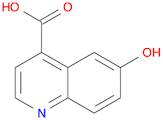 6-Hydroxy-4-quinolinecarboxylic acid