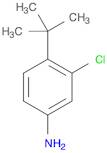 4-tert-butyl-3-chlorobenzenamine