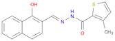 PCNA I1