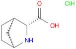 2-Azabicyclo[2.2.1]heptane-3-carboxylic acid, hydrochloride , (1S,3R,4R)-