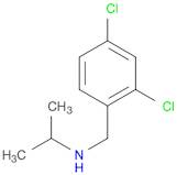 2,4-dichloro-N-isopropylbenzylamine