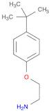 2-(4-TERT-BUTYLPHENOXY)ETHANAMINE HYDROCHLORIDE