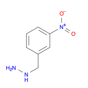 (3-nitrobenzyl)hydrazine