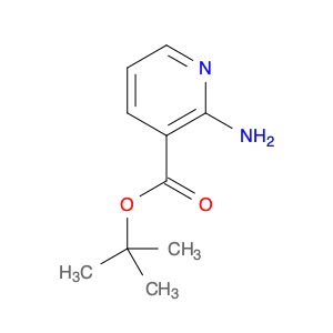 tert-Butyl 2-aminonicotinate