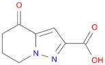 4-Oxo-4,5,6,7-tetrahydro-pyrazolo[1,5-a]pyridine-2-carboxylic acid