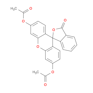 FLUORESCEIN DIACETATE