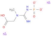 CREATINE PHOSPHATE DISODIUM SALT TETRAHYDRATE