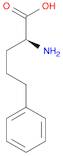 L-2-AMINO-5-PHENYL-PENTANOIC ACID