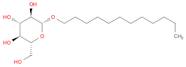 N-DODECYL-β-D-GLUCOPYRANOSIDE