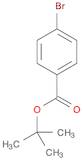 TERT-BUTYL-4-BROMOBENZOATE