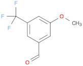 3-METHOXY-5-(TRIFLUOROMETHYL)BENZALDEHYDE