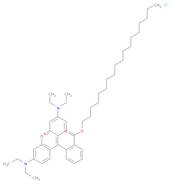 Octadecylrhodamine B chloride