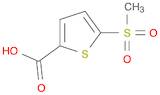 5-(METHYLSULFONYL)THIOPHENE-2-CARBOXYLIC ACID