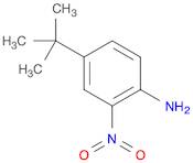 4-(TERT-BUTYL)-2-NITROANILINE