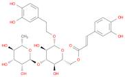 Isoacteoside