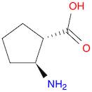 (1S,2S)-(-)-2-Amino-1-cyclopentanecarboxylic acid