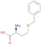 O-BENZYL-L-HOMOSERINE