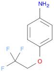 4-(2,2,2-TRIFLUOROETHOXY)ANILINE