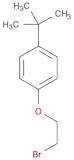 1-(2-BROMOETHOXY)-4-TERT-BUTYLBENZENE