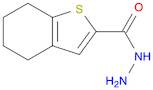 4,5,6,7-tetrahydro-1-benzothiophene-2-carbohydrazide