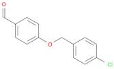 4-[(4-CHLOROBENZYL)OXY]BENZALDEHYDE