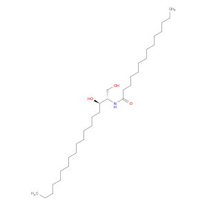 C14 Dihydroceramide