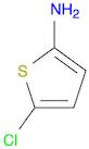 5-CHLORO-THIOPHEN-2-YLAMINE