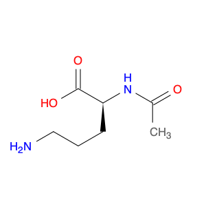 N-α-ACETYL-L-ORNITHINE