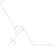 1-[CIS-9-OCTADECENOYL]-2-HEXADECANOYL-SN-GLYCERO-3-PHOSPHOCHOLINE