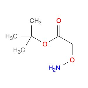 Tert-butyl 2-(aMinooxy)acetate