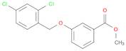 METHYL 3-[(2,4-DICHLOROBENZYL)OXY]BENZENECARBOXYLATE