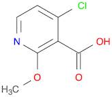 4-chloro-2-Methoxy-pyridine-3-carboxylic acid