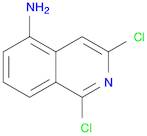 1,3-Dichloroisoquinolin-5-aMine