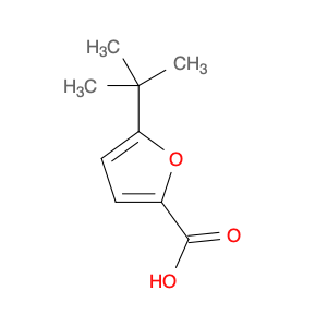 5-tert-butyl-2-furoic acid